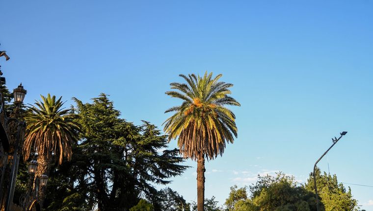 Foto: Santiago Tagua/MDZ