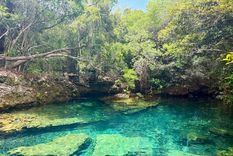 Reserva Ecológica Ojos Indígenas, un paraíso dentro de Punta Cana.&nbsp;