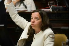 una revision de la equidad para la reforma constitucional