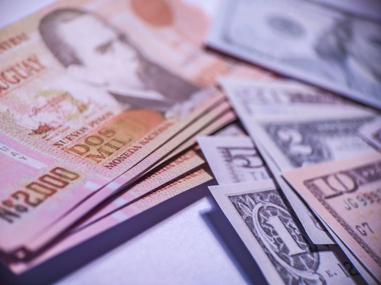 El valor del dólar en la Argentina favorece a los uruguayos, que aprovechan esa brecha para hacer compras y hasta para radicarse en el país. Foto: Shutterstock