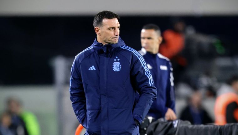 Lionel Scaloni Foto: Varksy Sports