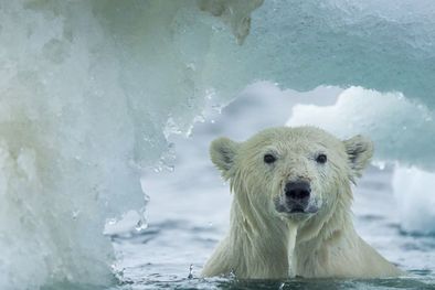 MDZol | Foto: GETTY