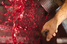 Aumentan las exportaciones de vino a granel.