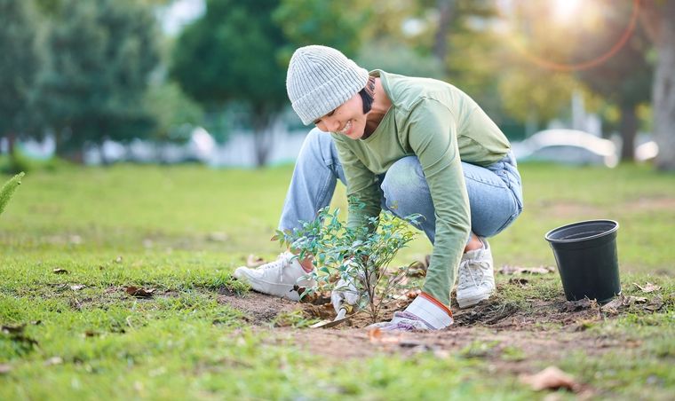 Planta Las plantas escuchan a los seres humanos. Foto: Fuente: Shutterstock
