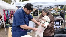 La actividad se desarrollará en la Estación Saludable y contará con cupos limitados para cirugías, además de servicios esenciales sin costo para mascotas.