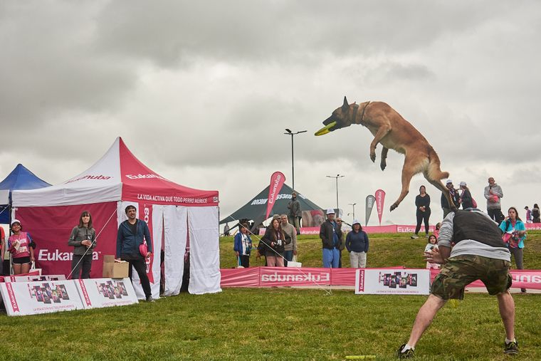 Se viene la 14ª edición de DOGRUN.