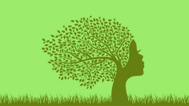 Test de personalidad