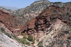 Foto: ALF PONCE MERCADO / MDZ