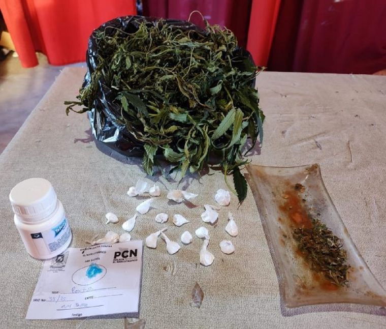 En los procedimientos se incautaron envoltorios de cocaína, marihuana y plantas de cannabis Foto: Ministerio de Seguridad de Mendoza