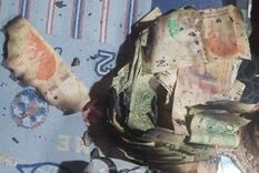 De los $260 mil que habían juntado para el trasplante, sólo lograron recuperar del incendio $50 mil. Foto: Facebook María Laura Barcia Martinovic