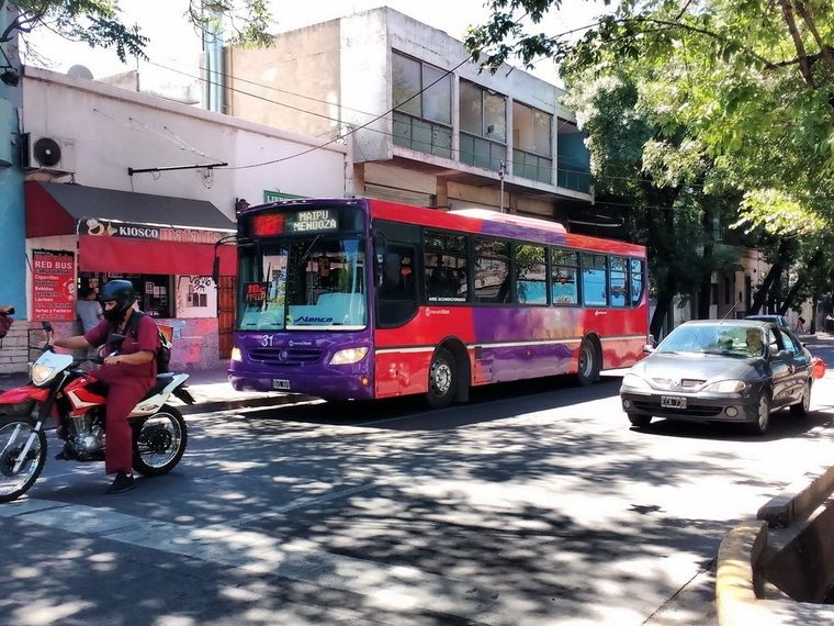 Las personas que circulen en el transporte público deberán llevar cierta documentación que los justifique