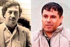 ocho puntos en comun entre el chapo guzman y pablo escobar