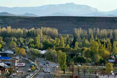 El pueblo de Neuquén donde fue avistado el felino en extinción Foto: Télam