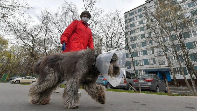 Una mujer con mascarilla pasea un perro por Moscú..