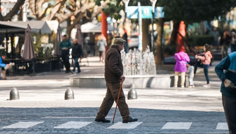 La compañía y el afecto pueden cambiar las vidas de muchos abuelos. Foto: Archivo MDZ