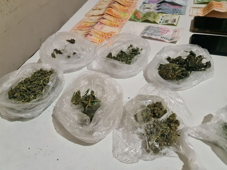 Los operativos fueron en Las Heras, Tupungato y San Martín Foto: Ministerio de Seguridad de Mendoza