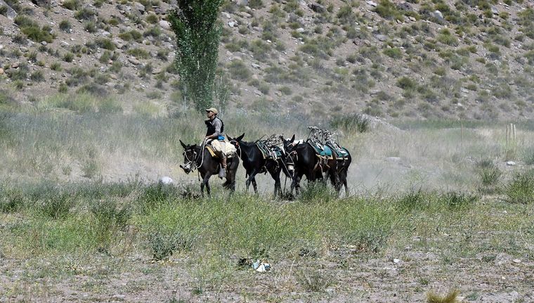 Foto: ALF PONCE MERCADO / MDZ