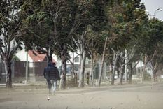 Ráfagas de hasta 90 km por hora azotarán el sur de Argentina Foto: TELAM