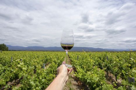 El Turismo en Mendoza se vestirá de gala en 2022. Foto: @visitargentina