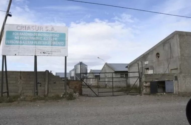 Pensaron durante 20 años que estaba muerto pero lo rescataron en Santa Cruz Foto: gentileza