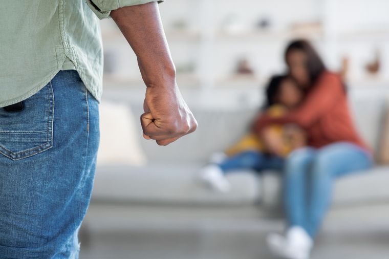 En el 95% de los casos, la violencia doméstica ejercida fue psicológica. 