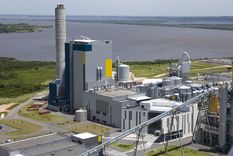 La famosa papelera de Fray Bentos, en Uruguay Foto: Ecyt-Ar