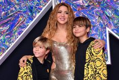 Shakira y un sorpresivo pedido a los padres de los amigos de sus hijos. Foto: Archivo