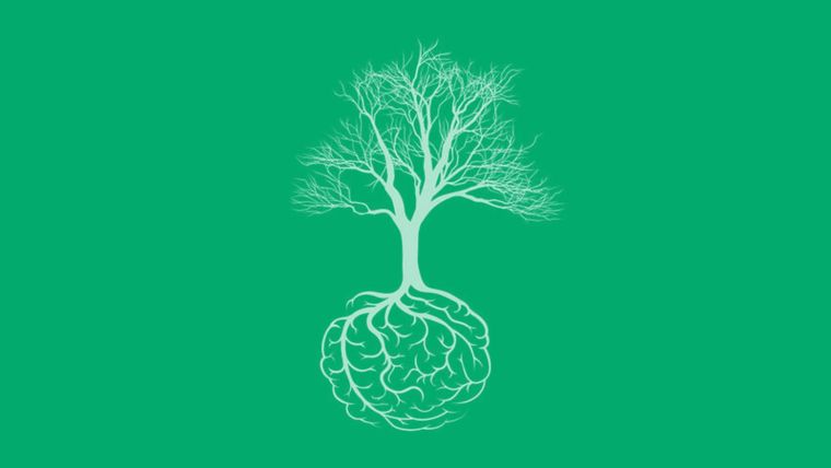 Test de personalidad