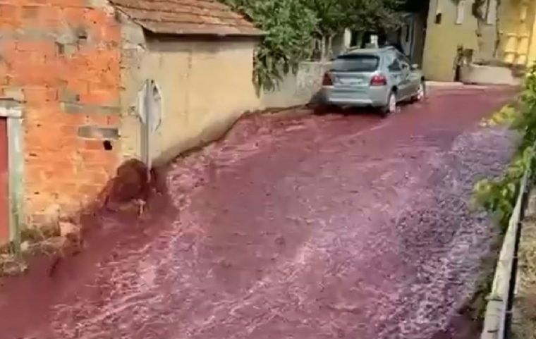 Portugal La extraña postal se dio tras la explosión de dos toneles de vino Foto: Captura de video