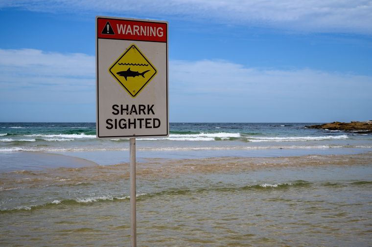 Tras el incidente, prohibieron el ingreso de la gente al mar Foto: Shutterstock