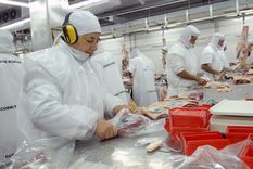 Industria frigorífica Foto: NA