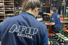 La Dirección General de Aduanas realizó los operativos en el marco de la lucha contra el contrabando. Foto: AFIP Aduana