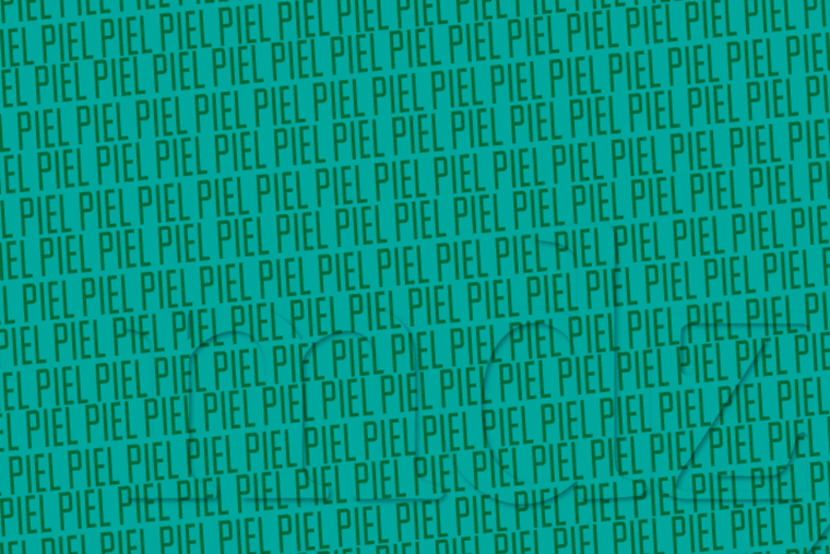 ACERTIJO VISUAL ACERTIJO VISUAL, RETO VISUAL, PALABRA Foto: MDZ ONLINE