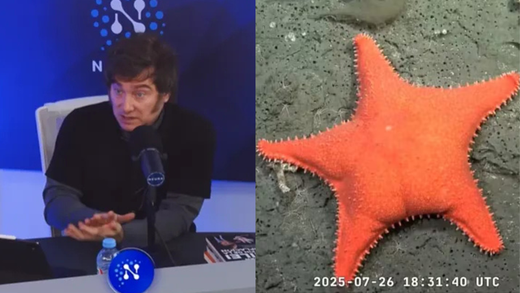 CONICET 1 – Javier Milei 0: la ciencia pública hundió al streaming libertario en el rating.