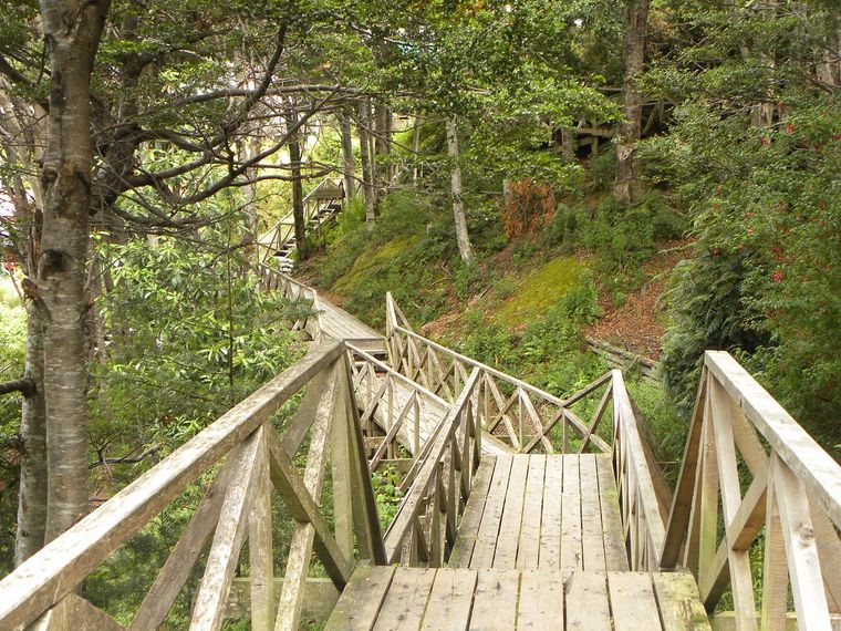 Caleta Tortel, ideal para una escapada al sur de Chile. Caleta Tortel, ideal para una escapada al sur de Chile.