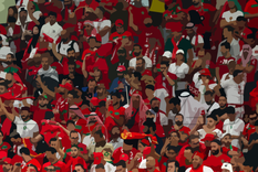 ENIGMA VISUAL ENIGMA VISUAL, RETO VISUAL, BANDERA Foto: MDZ ONLINE