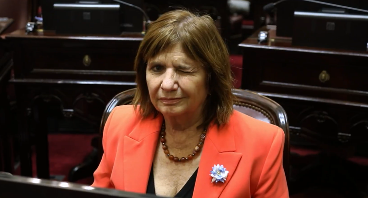 Patricia Bullrich subió un polémico video en redes