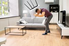 Con este truco casero te olvidarás de las plagas del hogar Foto: Shutterstock