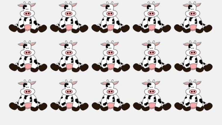 Acertijo visual, reto visual, vaca