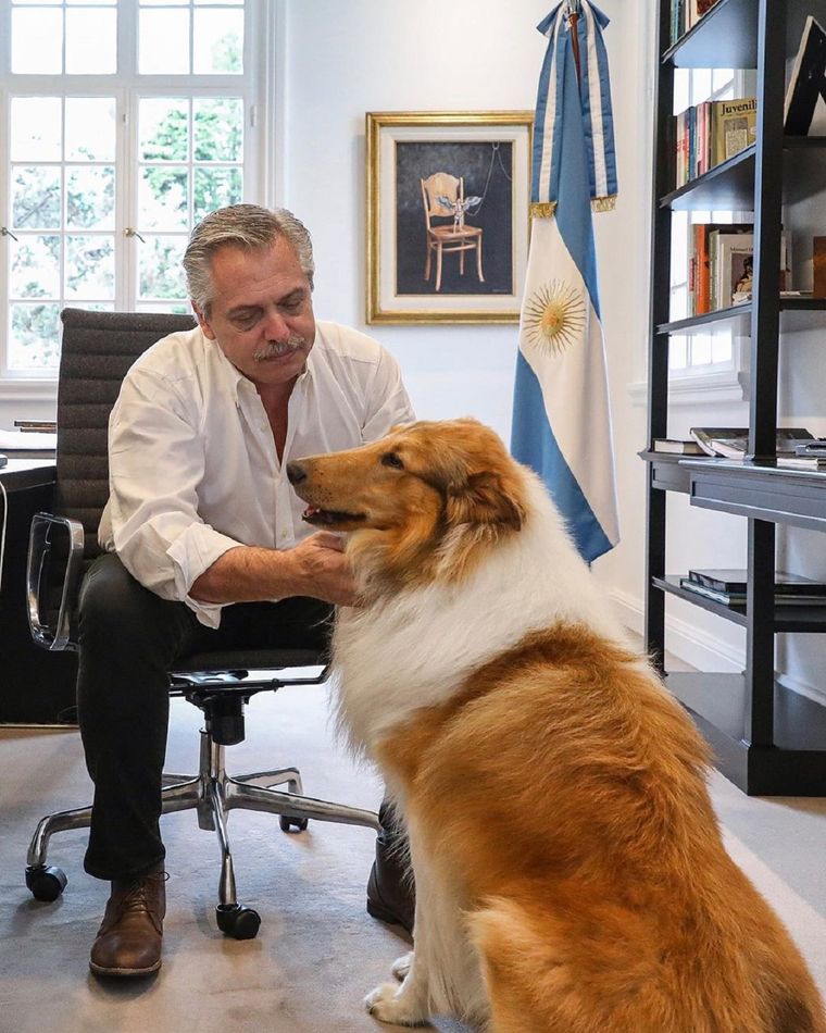 Alberto Fernández y su perro Dylan. Foto: Twitter