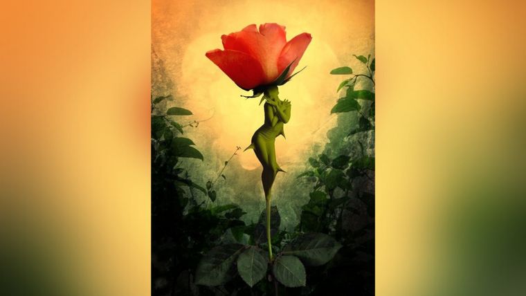 Test de personalidad Foto: Lora-Vysotskaya