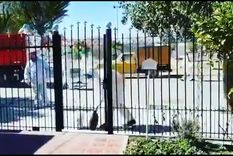 con el ejercito en la calle, en san juan encierran a las personas