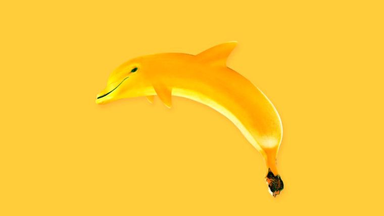 Test de personalidad