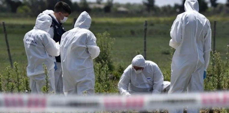 Encontraron un feto dentro de un contenedor de residuos Foto: NA