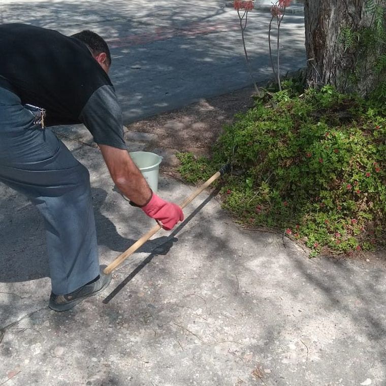 Estos protocolos son de gran ayuda ante la presencia de serpientes en zonas urbana. Estos protocolos son de gran ayuda ante la presencia de serpientes en zonas urbana.