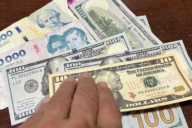 MDZol | dolares dolar pesos billetes (12)