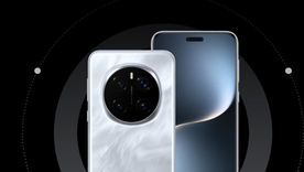 La oferta de Walmart que no te puedes perder. La oferta de Walmart que no te puedes perder.