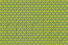 ACERTIJO VISUAL ACERTIJO VISUAL, RETO VISUAL, LETRA. Foto: MDZ ONLINE