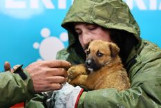 La alcaldesa de La Serena pidió al Gobierno de Chile que decrete zona de catástrofe ante la gravedad de la emergencia. La alcaldesa de La Serena pidió al Gobierno de Chile que decrete zona de catástrofe ante la gravedad de la emergencia.