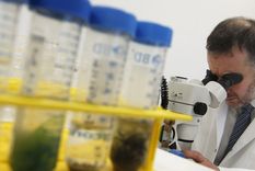 por el momento, el letal coronavirus no preocupa en mendoza